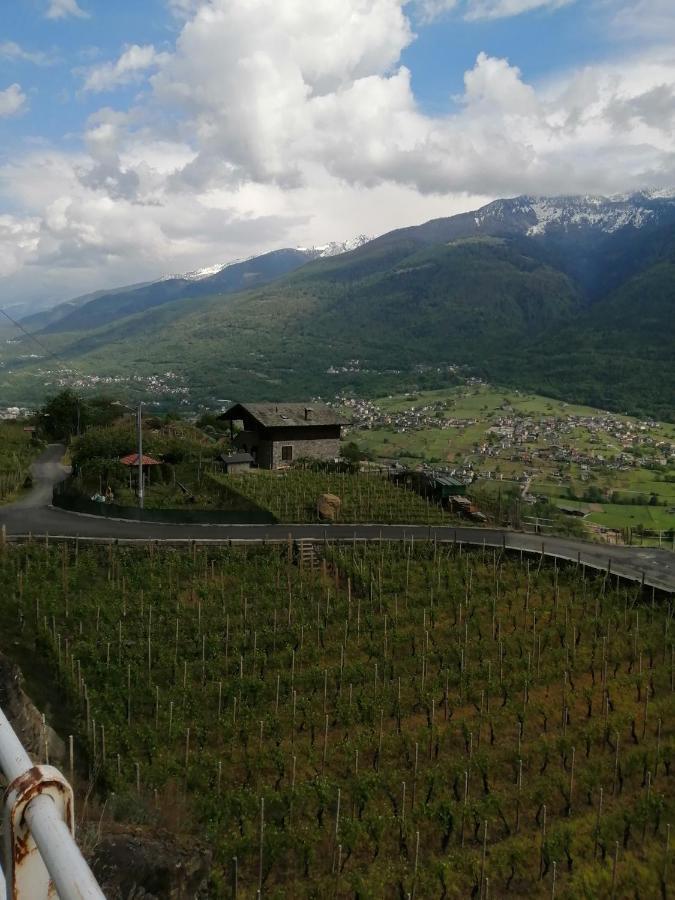 Appartement La Cà del CUNFEC à Sondrio Extérieur photo